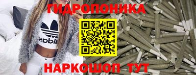 стафф Кинель