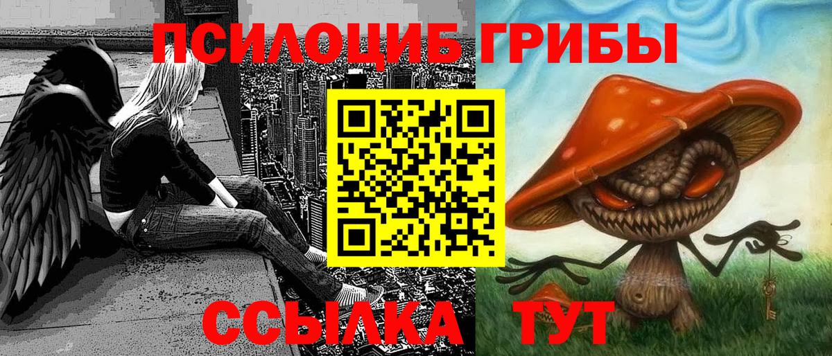 Галлюциногенные грибы GOLDEN TEACHER  Вход с VPN  Галлюциногенные грибы мицелий  Армавир 