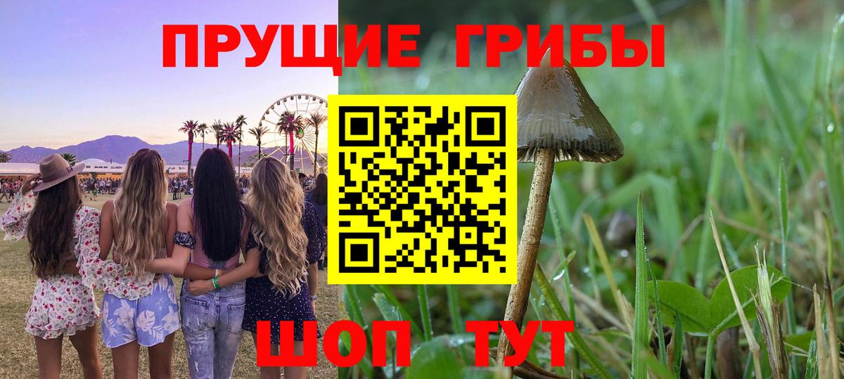 Псилоцибиновые грибы Magic Shrooms Армавир